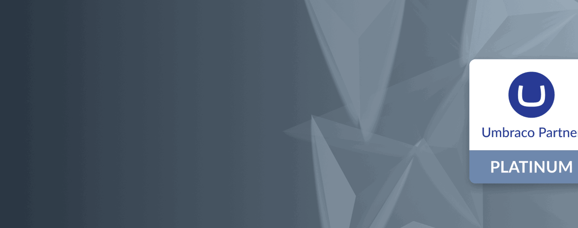 Umbraco Platinum Partner