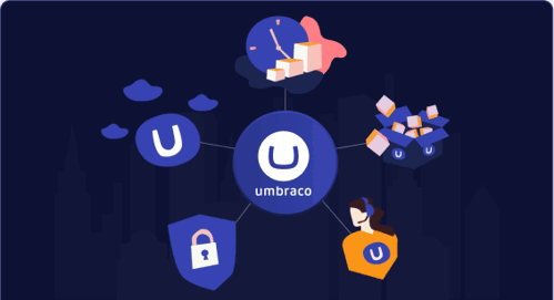 Umbraco Enterprise Security