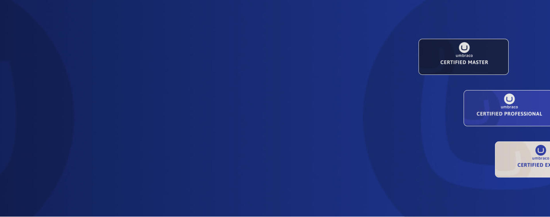 Umbraco development