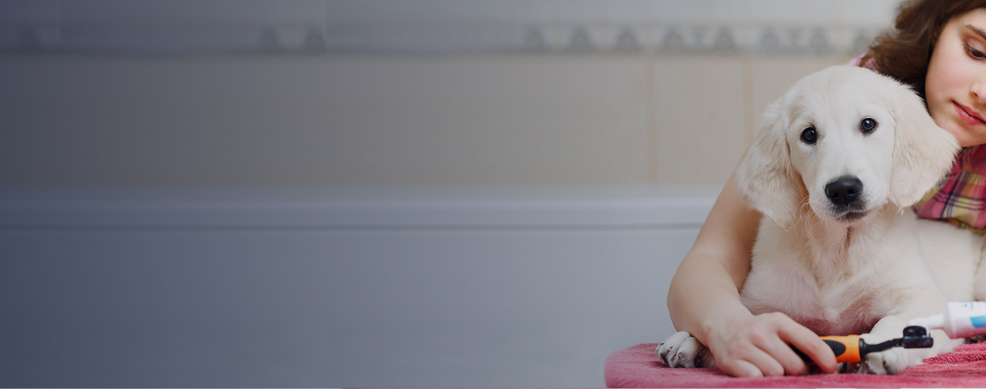 Petcare Banner