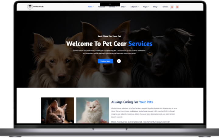 Petcare Introduction