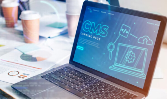 CMS Integration (1)
