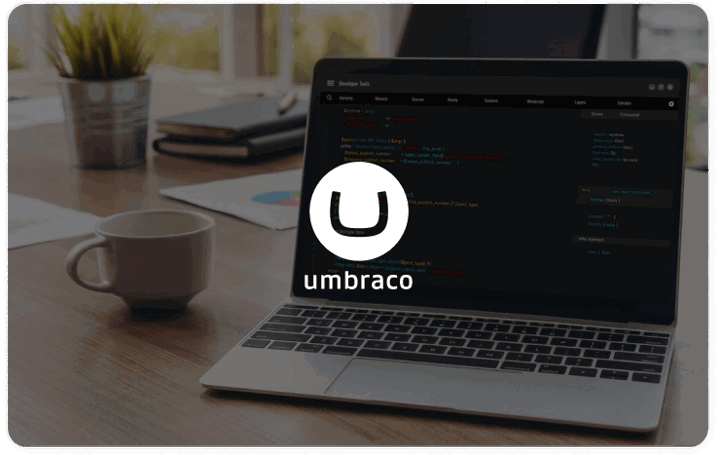 umbraco expert agency